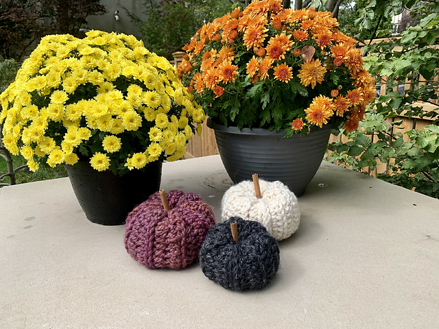 Fall Pumpkins