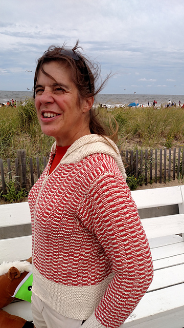 #13 Hooded Sweater