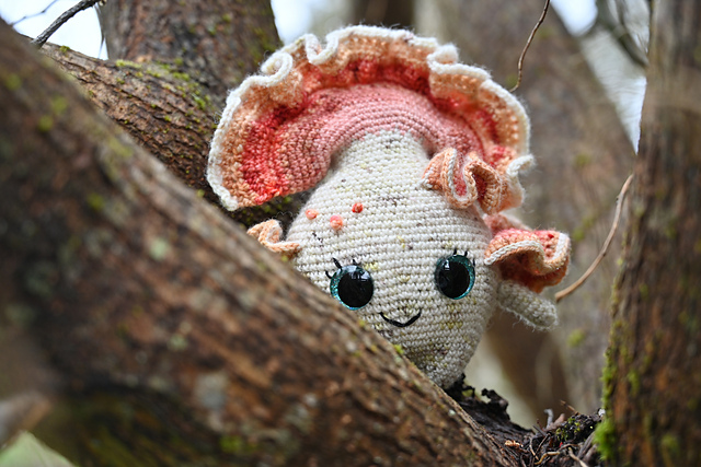 Chicken of the Woods