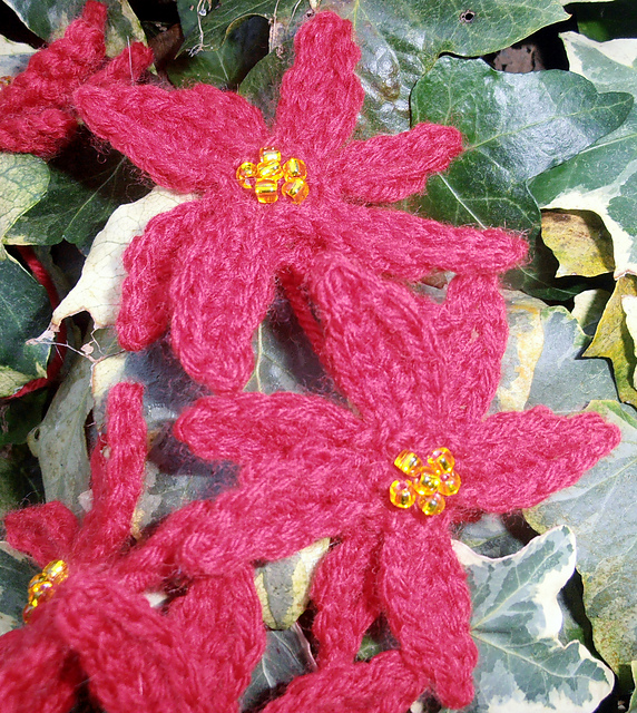Poinsettia Pin