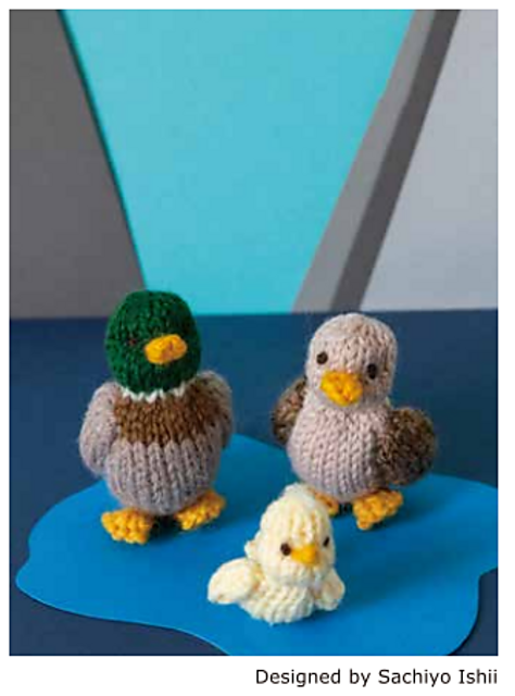 Mini Duck Family