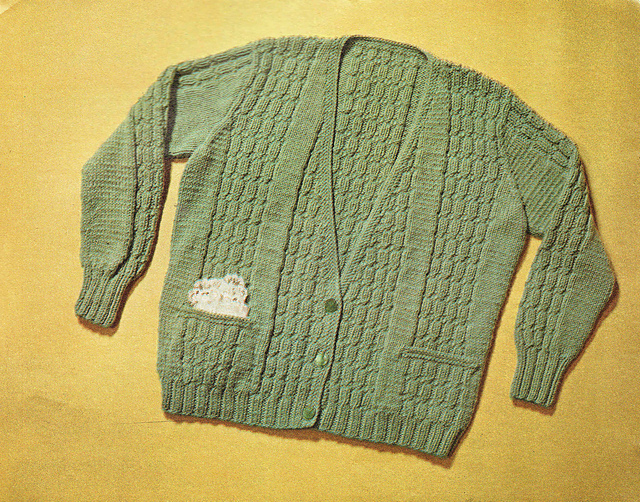 V-Neck Cardigan