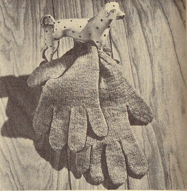 Gloves in Knit