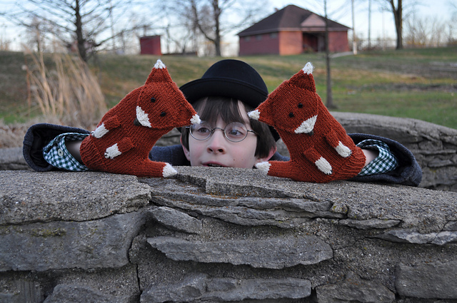 The Fantastic Mittster Fox