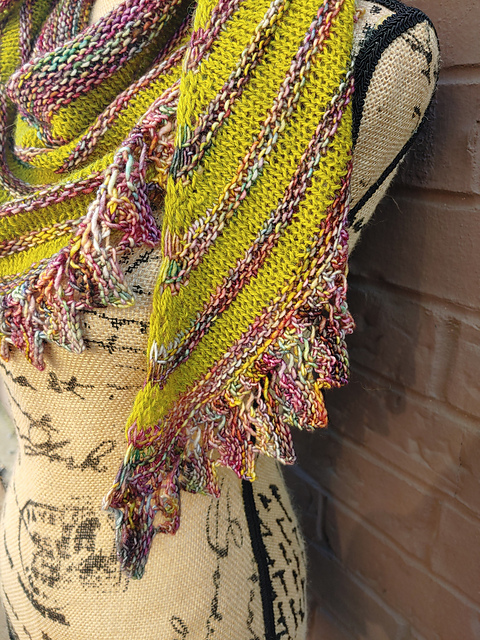 Samantha Shawl