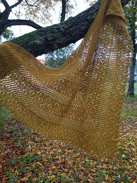 Crazy Catlady Shawl