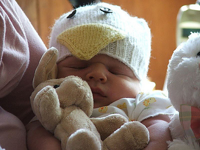 Just Ducky Hat