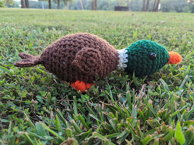 Little Duck