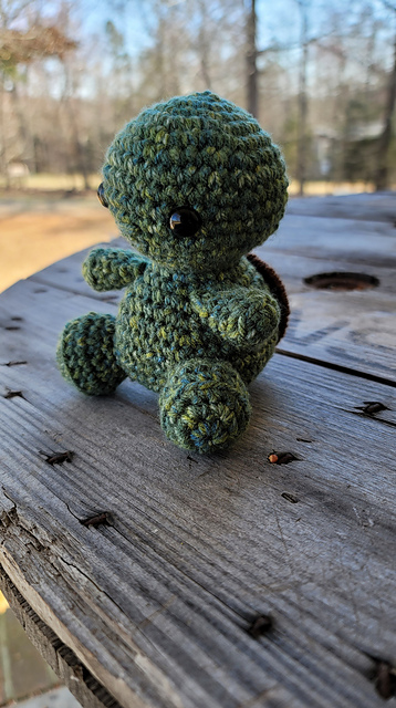 Myrtle the Turtle