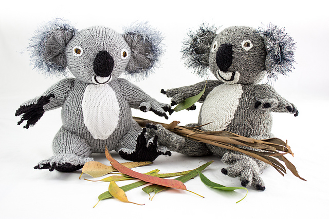 Australian Koala Bear