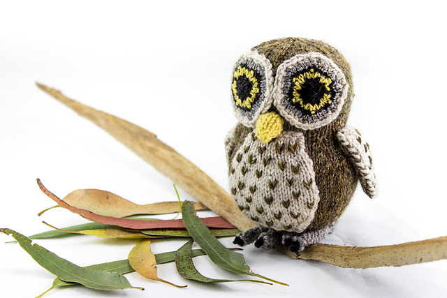 Australian Boobook Owl