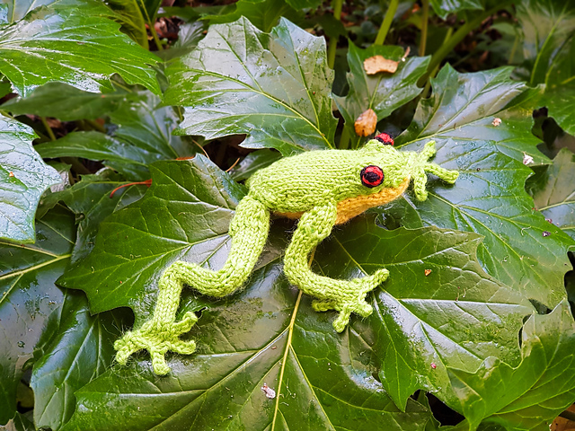 Ravelry: Australian Red Eyed Tree Frog pattern by Alma Mahler
