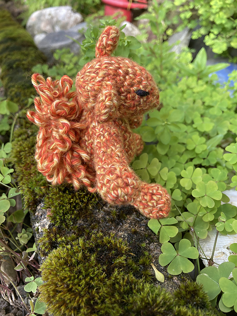 Mini Red Squirrel