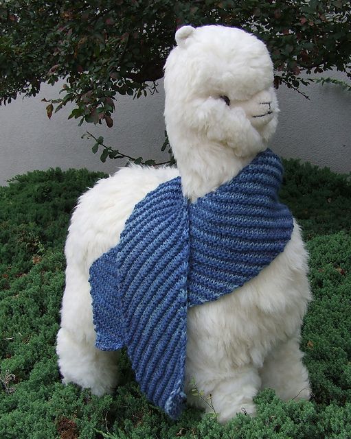 Bias Ridged Scarf