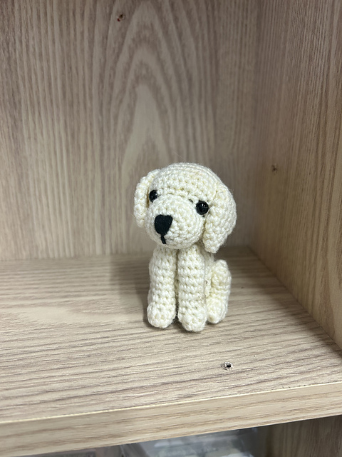Mini puppy