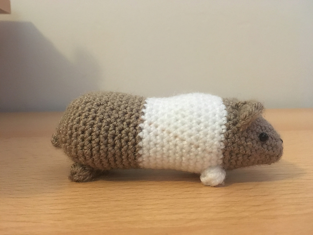 Little Guinea Pig