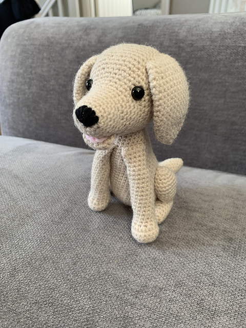 Larry The Labrador