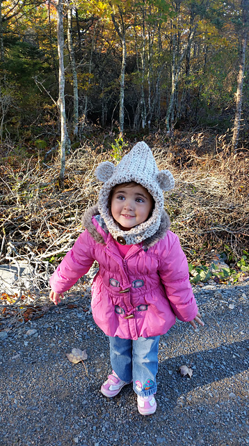 Teddy Bear Hood/Cowl