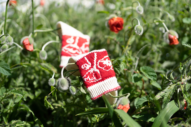 Red Weeds