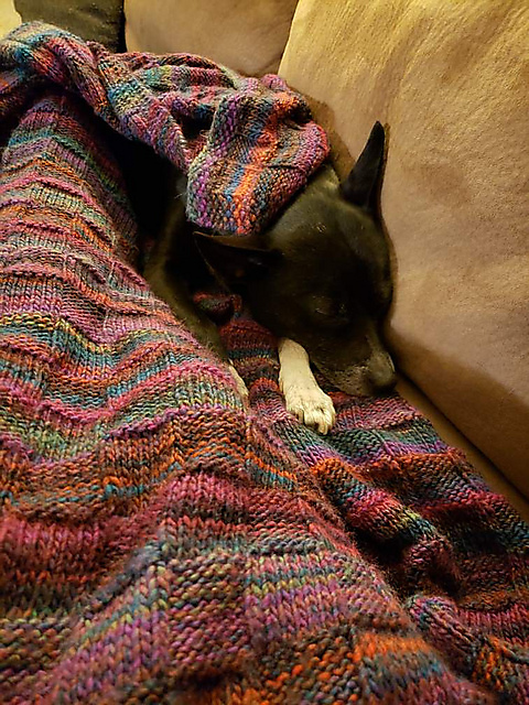 Yogi's Blanket