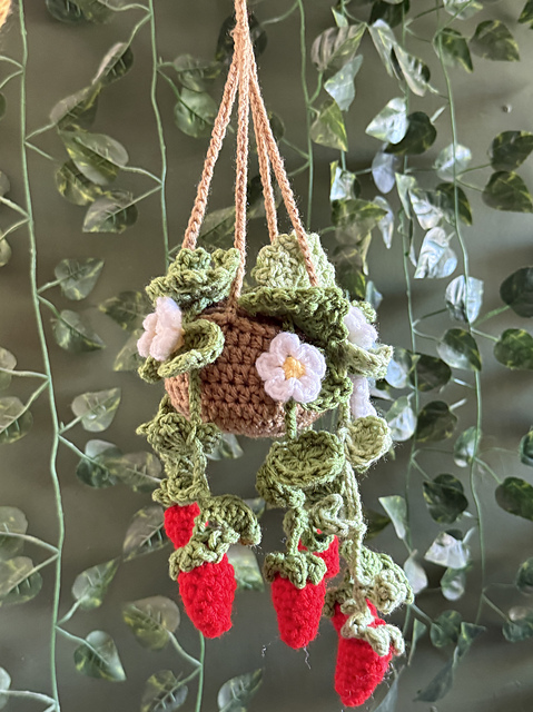Strawberry Hanging Plant
