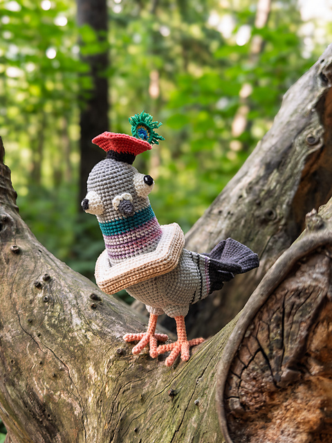 Gołomp Krakoski - an eccentric pigeon