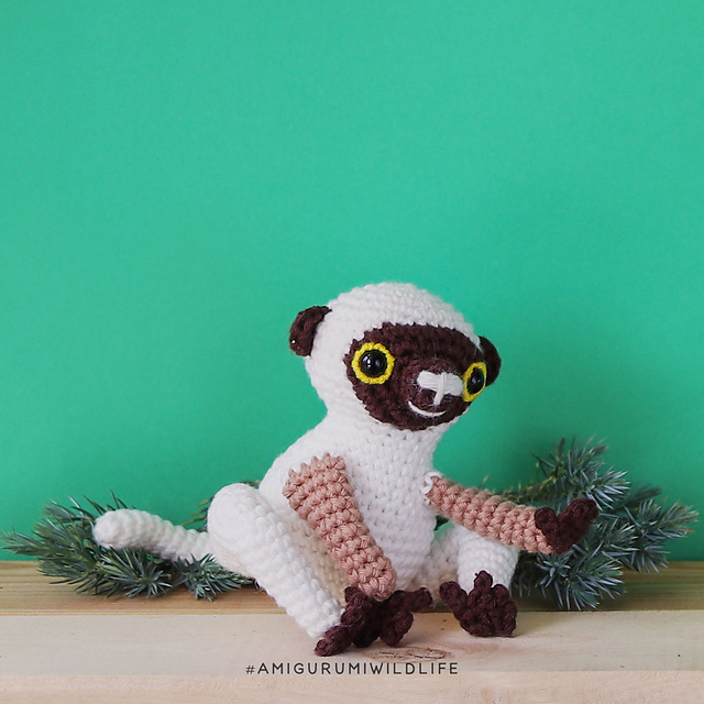 Widlife Adventure - Coquerel's Sifaka Lemur
