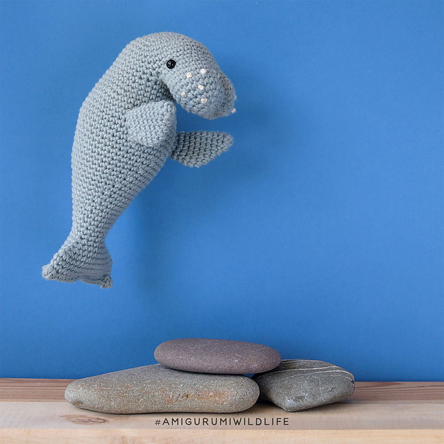 Wildlife Adventure - Dugong