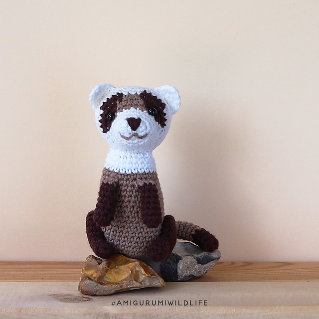 Wildlife Adventure - Black-footed Ferret