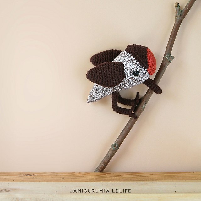 Wildlife Adventure - Speckle-chested Piculet