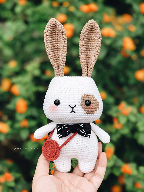 Rey the Little Bunny