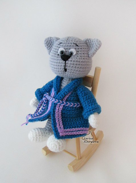 Cat in dressing gown