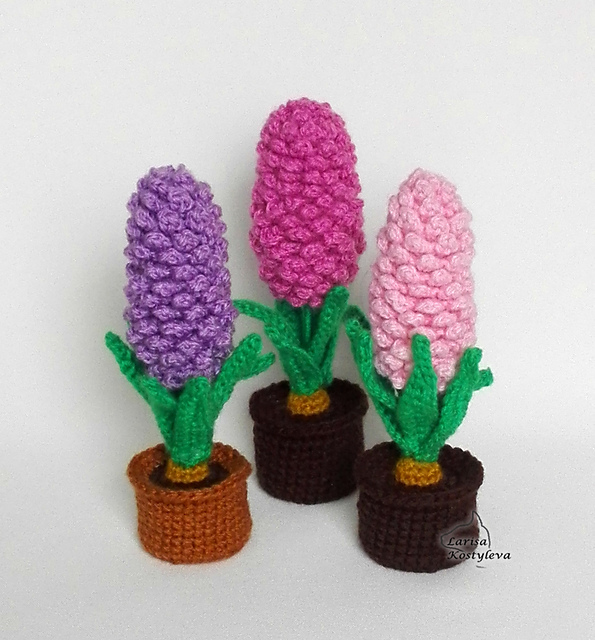 Hyacinth