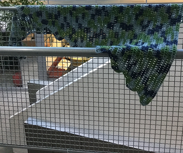 Dino Shawl