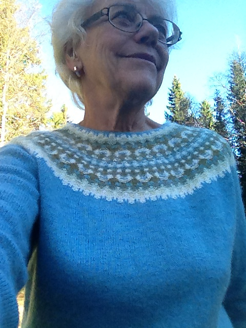 Den Blå - The Blue One Sweater / Cardigan
