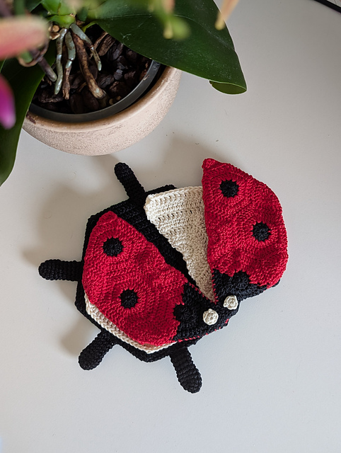 Flat ladybug