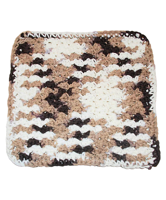 Easy Shell Dishcloth