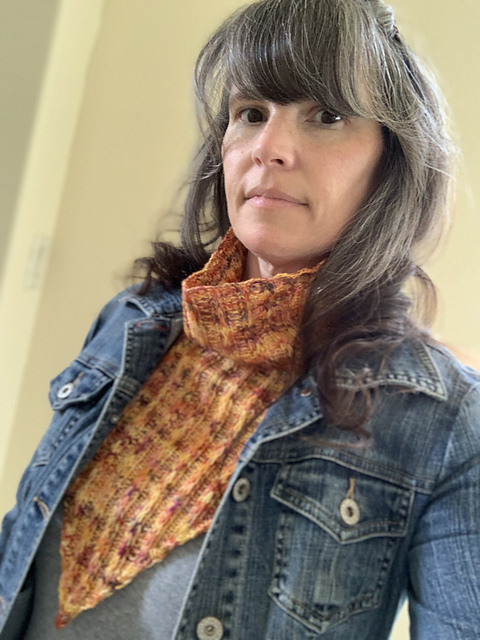 Autumn Daze Bandana Cowl