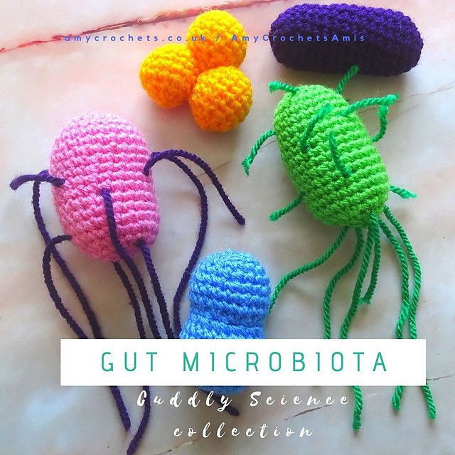 Cuddly Gut Microbiota