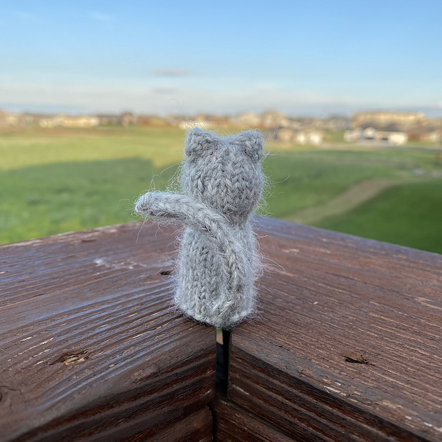 July Knitty Kitty