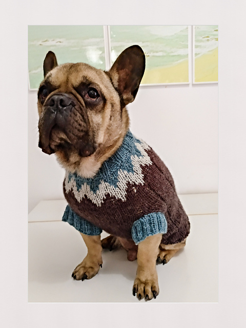 Dog Suéter Picos