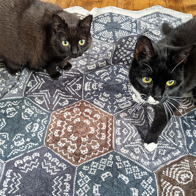 The Kaleidocatty Advent Blanket