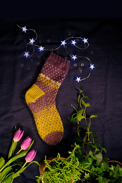 Starlight Catties