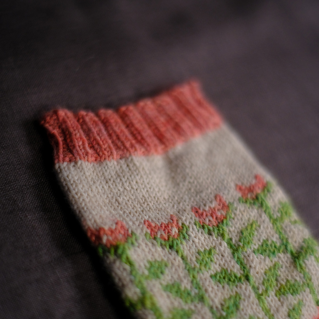 Cat Garden socks