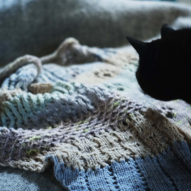 Catventure
