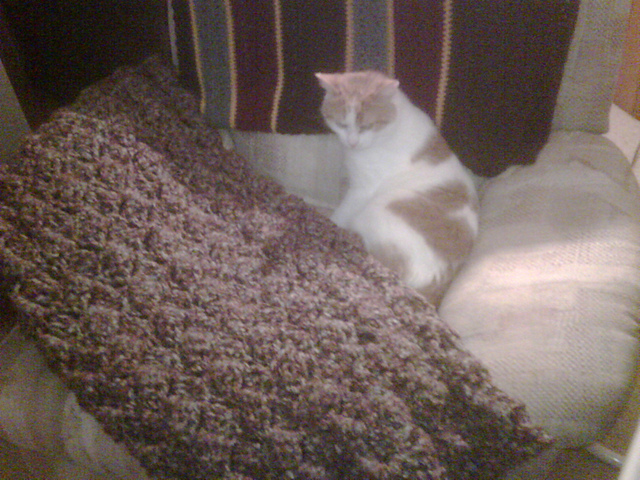 Six Hour Blanket