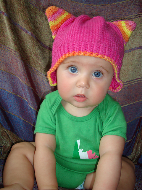 cat hat