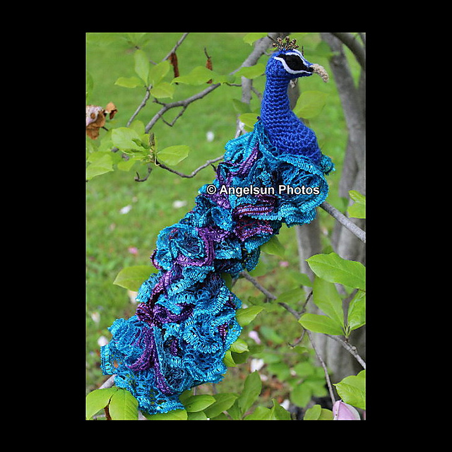 Frank the Peacock