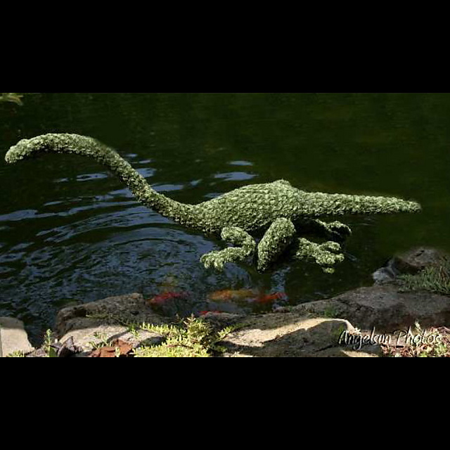 Figment of My Imagination Sea Creature