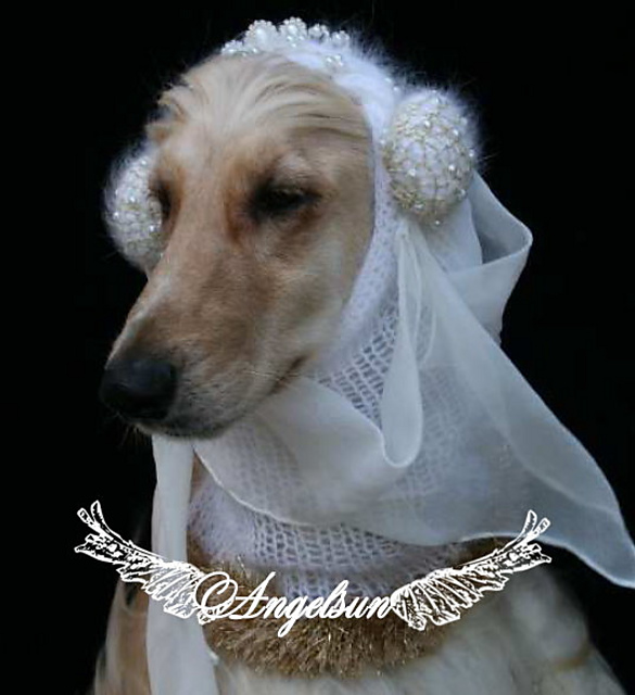 Princess of Wales Snood
